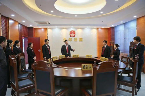 以為民 三心 打造司法 五星 級服務 桂平法院 我為群眾辦實事 全方位在線