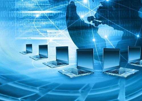 計算機網(wǎng)絡(luò)的組成與功能及數(shù)據(jù)處理存儲服務(wù)